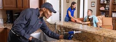 Best Residential Pest Control  in Farmington, UT